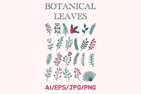 Download Botanical Illustration (for Decoration) - Decoration Collection
